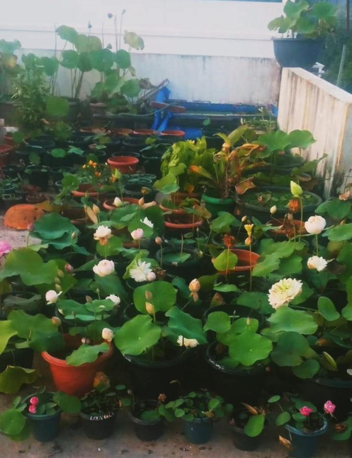 Raelyn'S Homestay Kochi المظهر الخارجي الصورة