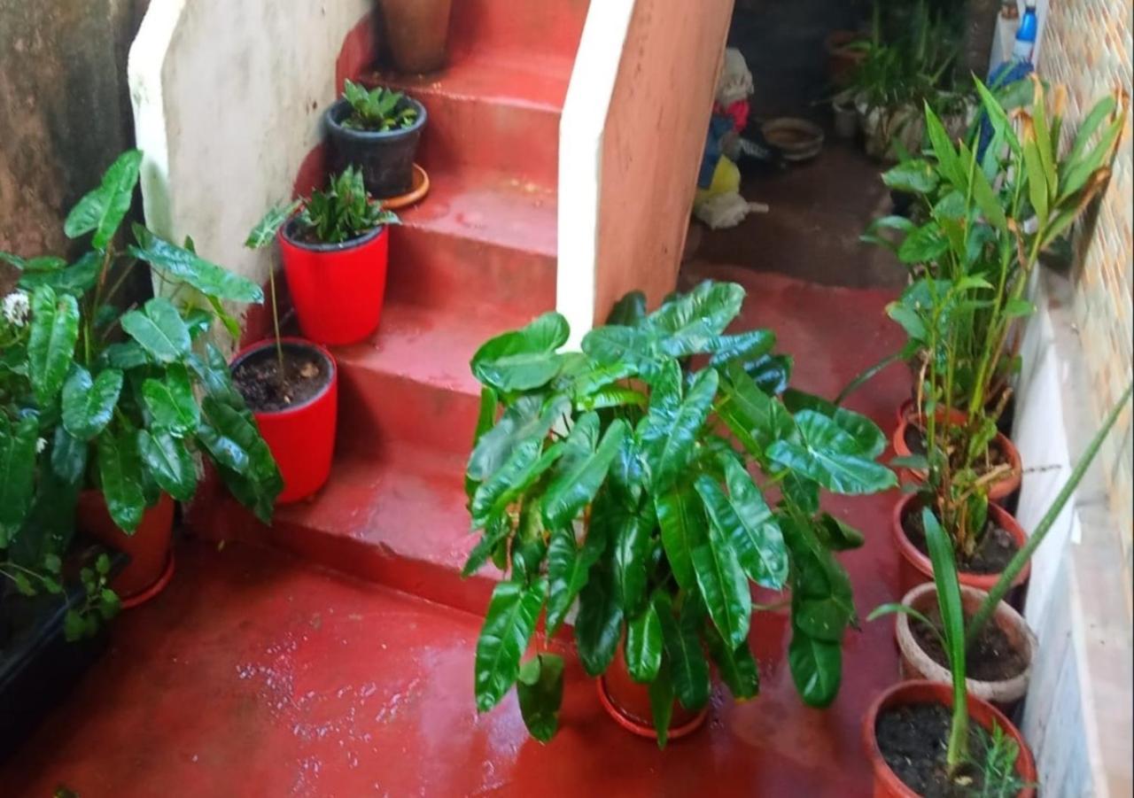 Raelyn'S Homestay Kochi المظهر الخارجي الصورة