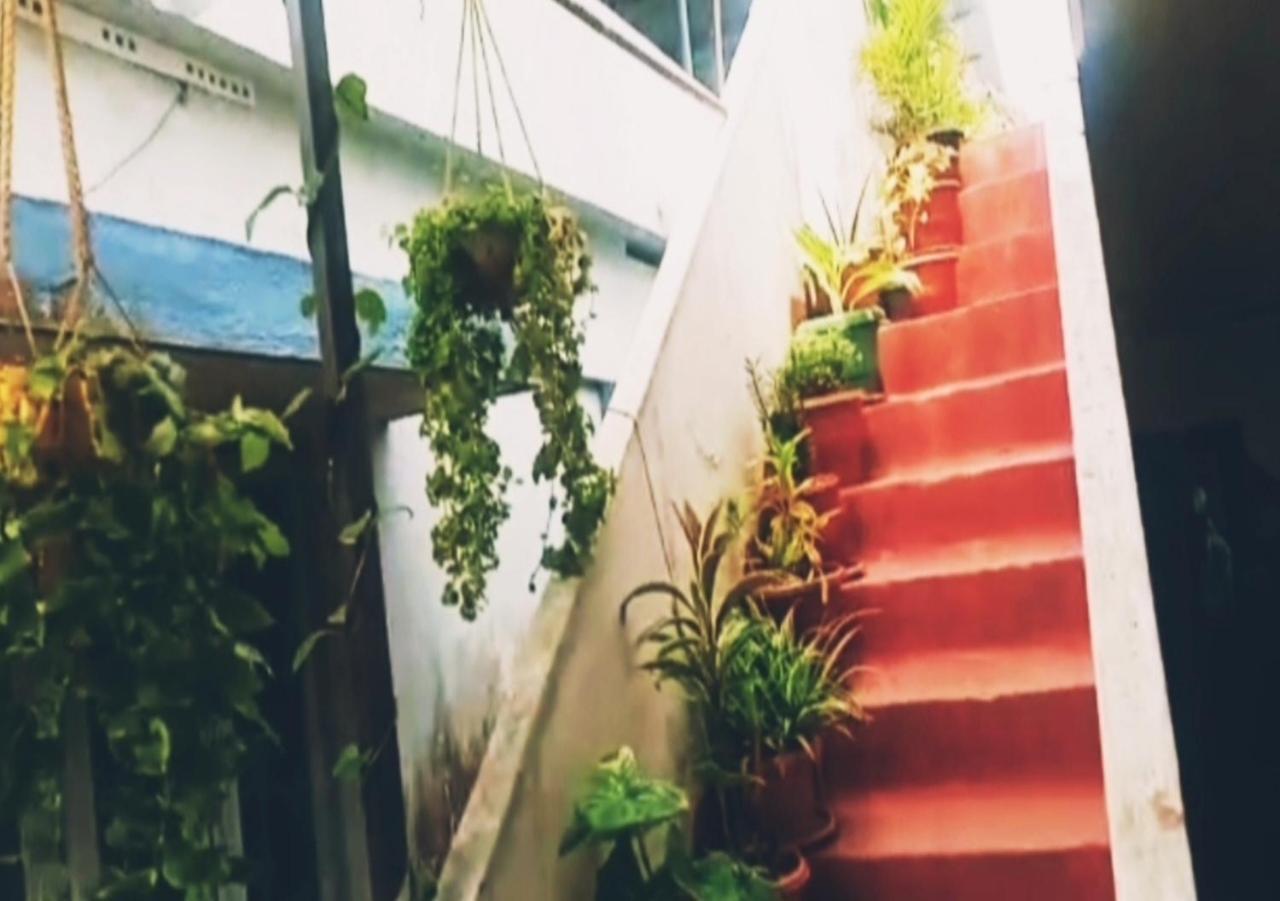 Raelyn'S Homestay Kochi المظهر الخارجي الصورة
